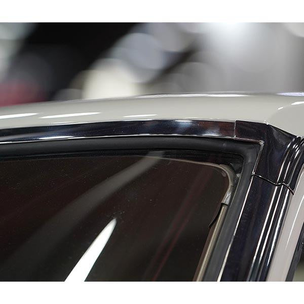 Windshield Gasket