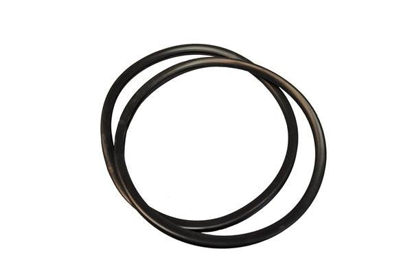 Quarter window weatherstrip