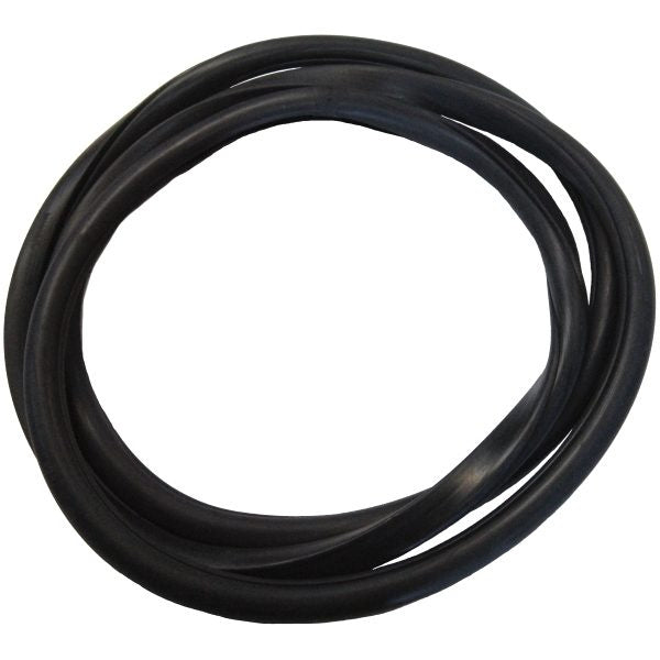 Windshield Gasket