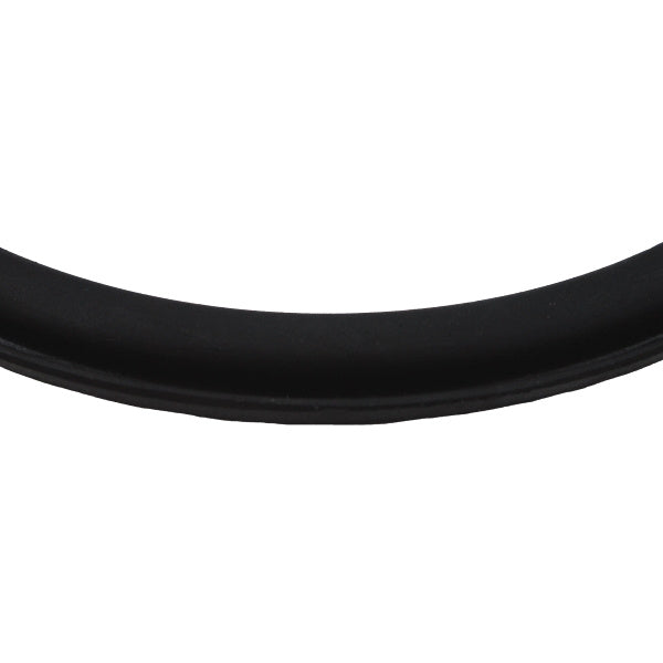 Headlight Door To Lens Weatherstrips