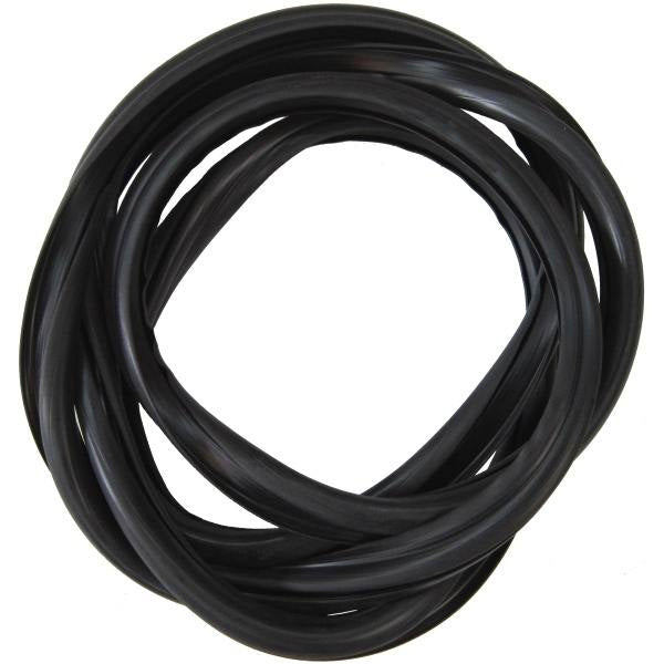 Windshield Gasket