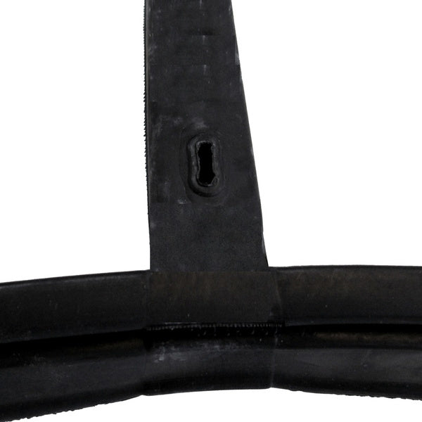 Windshield Gasket