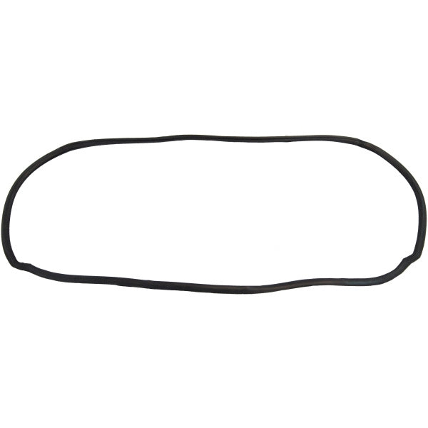 Windshield Gasket