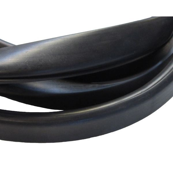 Windshield Gasket