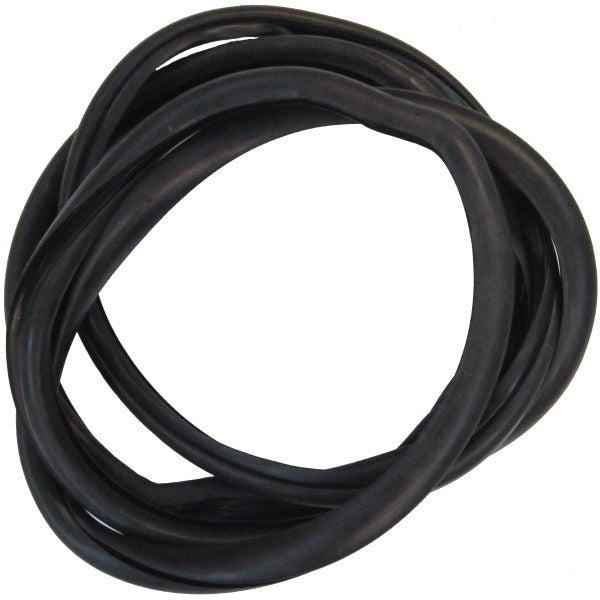 Windshield Gasket