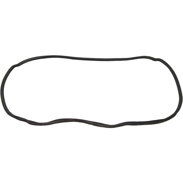 Windshield Gasket