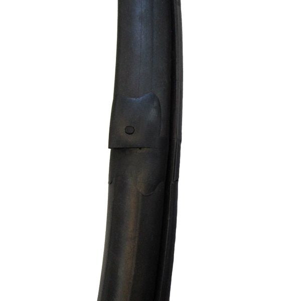 Windshield Gasket
