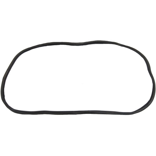 Windshield Gasket