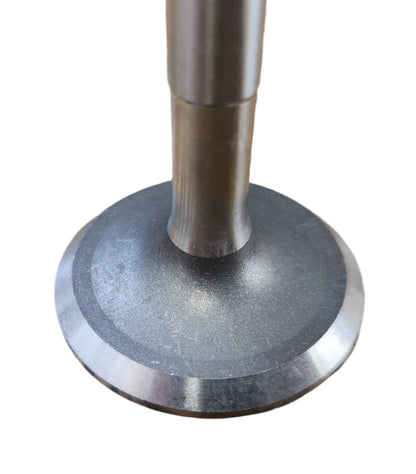 Intake Valve