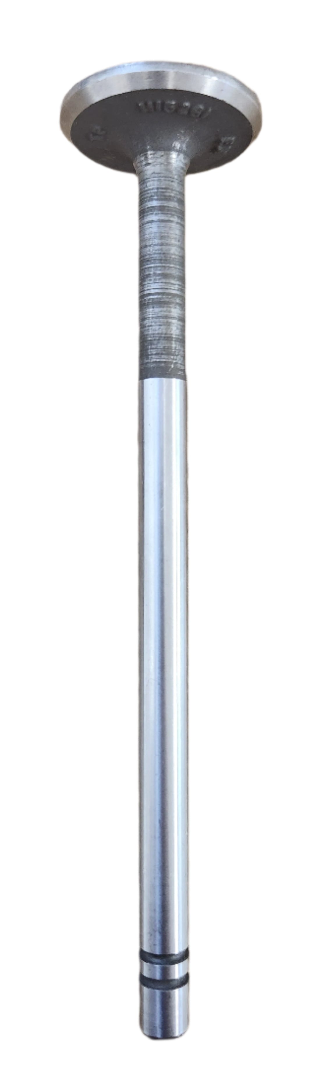 Exhaust Valve for 1946-1950 Chrysler | Engine