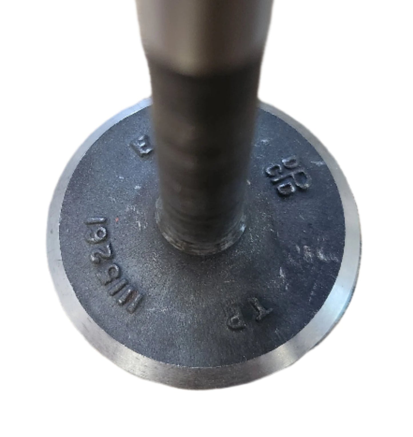 Exhaust Valve - 8 Cylinder