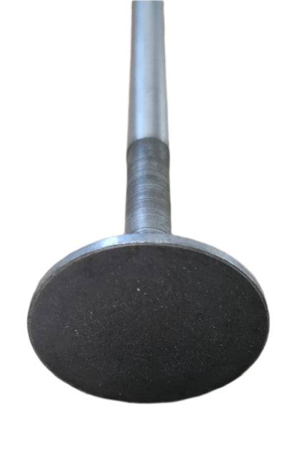 Exhaust Valve - 8 Cylinder