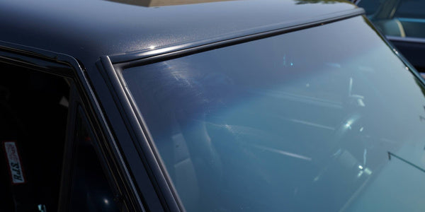 Windshield Gasket