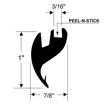 Windshield Molding
