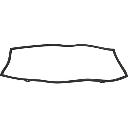 Windshield Gasket