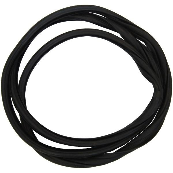 Windshield Gasket