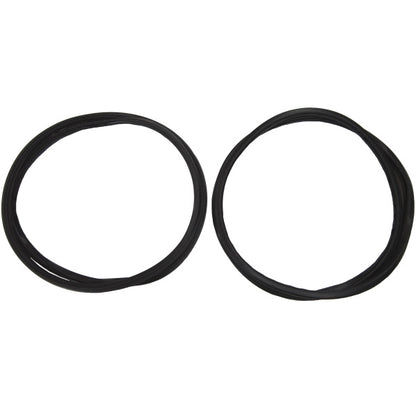 Quarter window weatherstrip