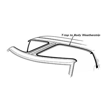 T-Top Roof Rail on Body Weatherstrip