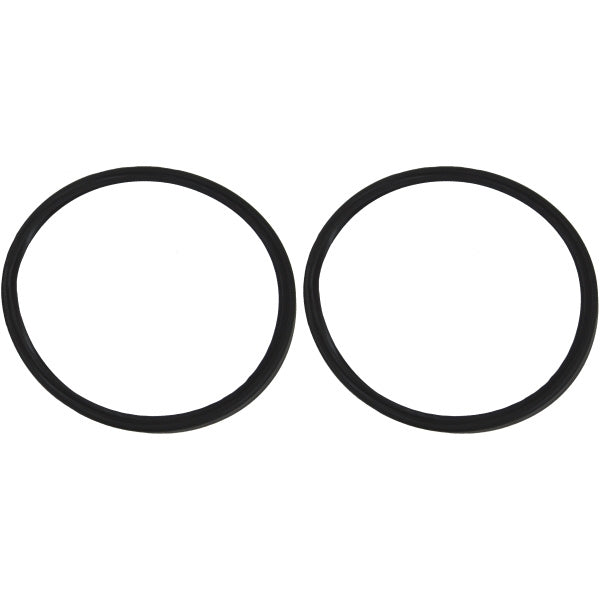 Quarter Window Weatherstrips