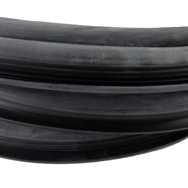Windshield Gasket