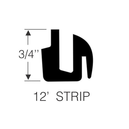 Windshield Gasket