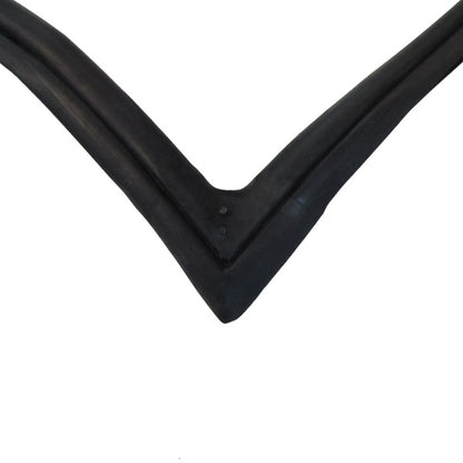 Windshield Gasket