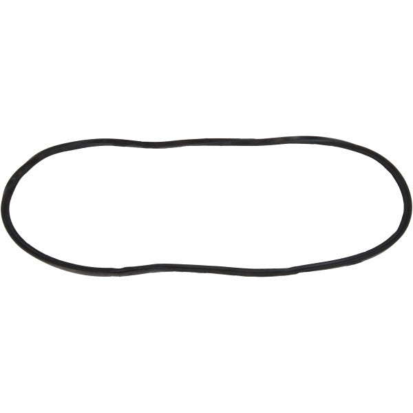 Windshield Gasket