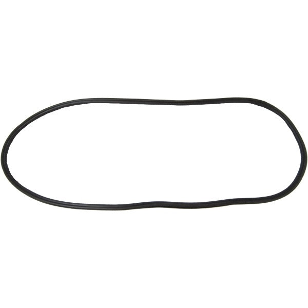 Windshield Gasket