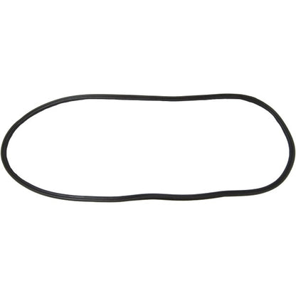 Windshield Gasket
