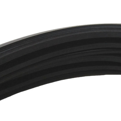 Rear Window Gasket