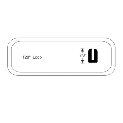 Windshield Gasket