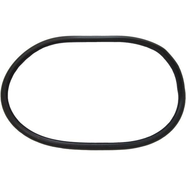 Rear Door Window Gasket