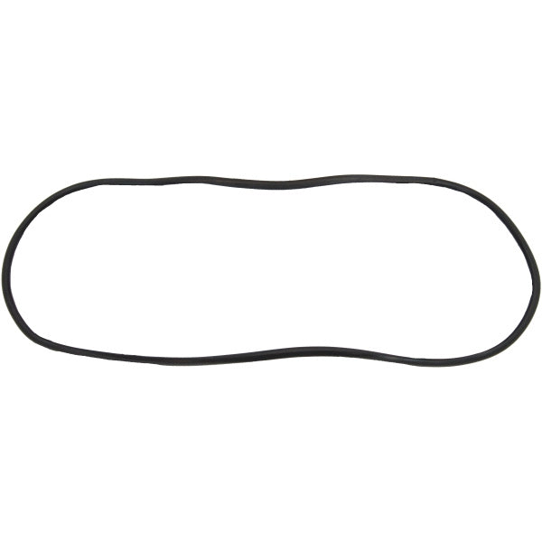 Windshield Gasket