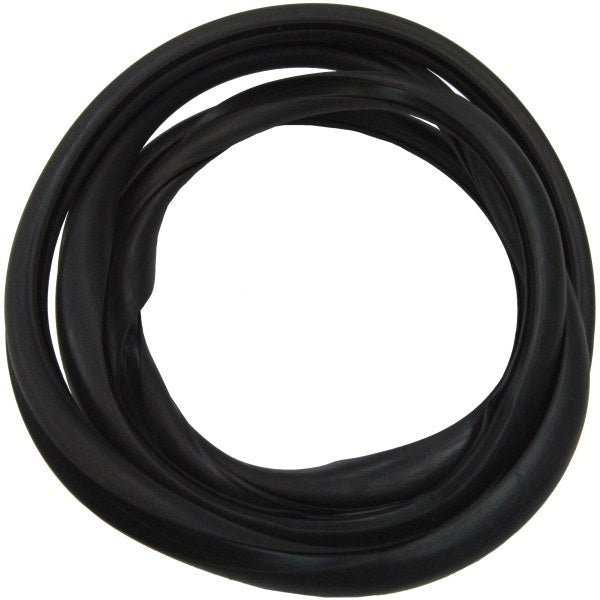 Windshield Gasket