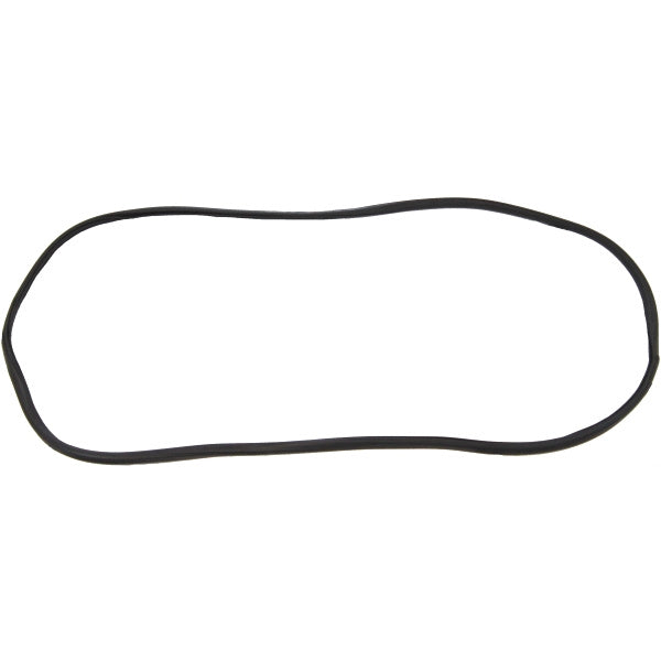 Windshield Gasket