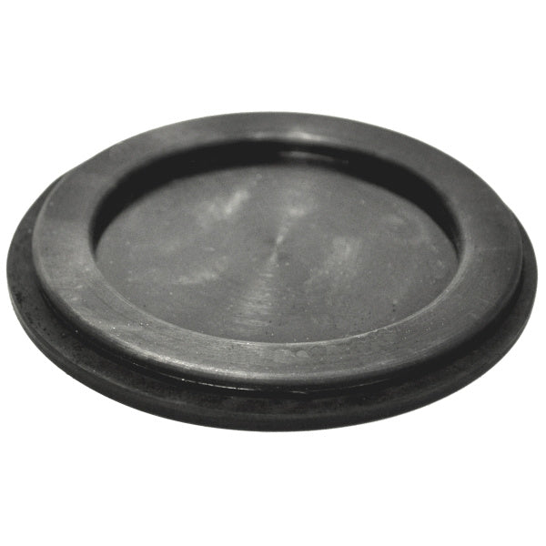 Fresh air intake plug