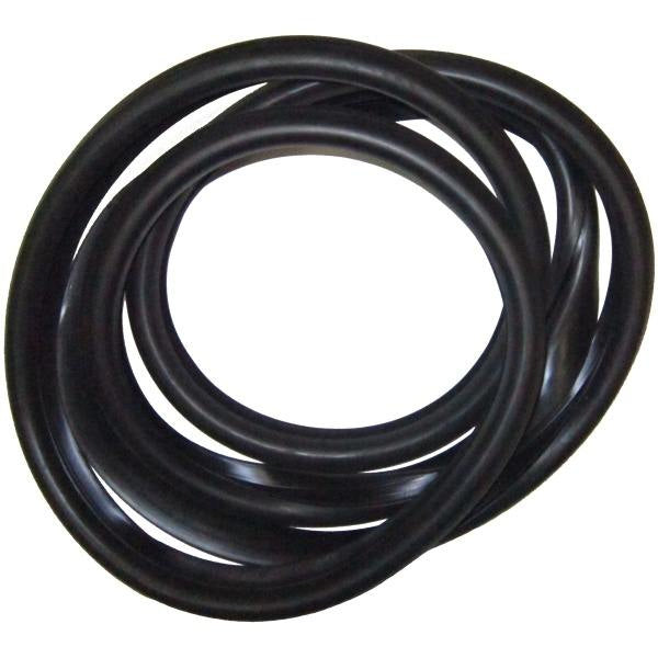 Windshield Gasket