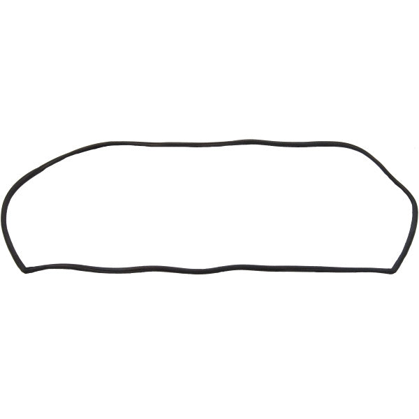 Windshield Gasket