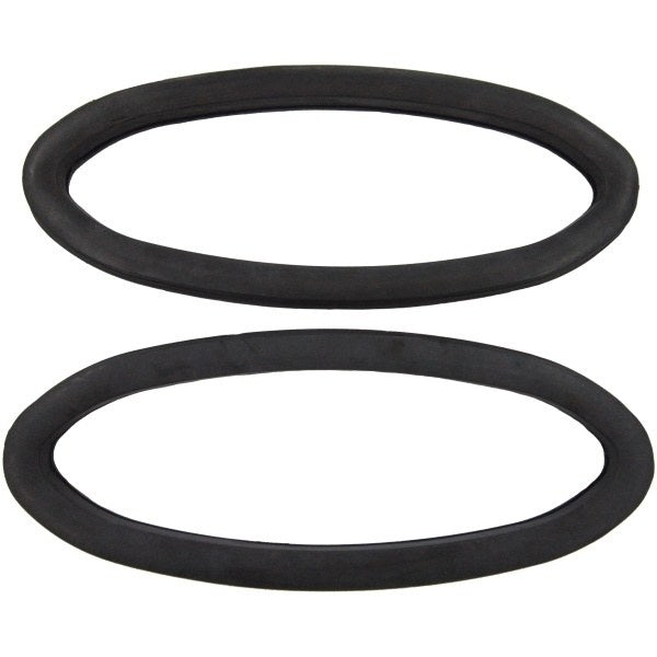 Quarter window weatherstrip