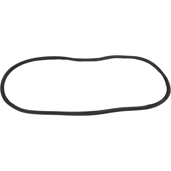 Windshield Gasket