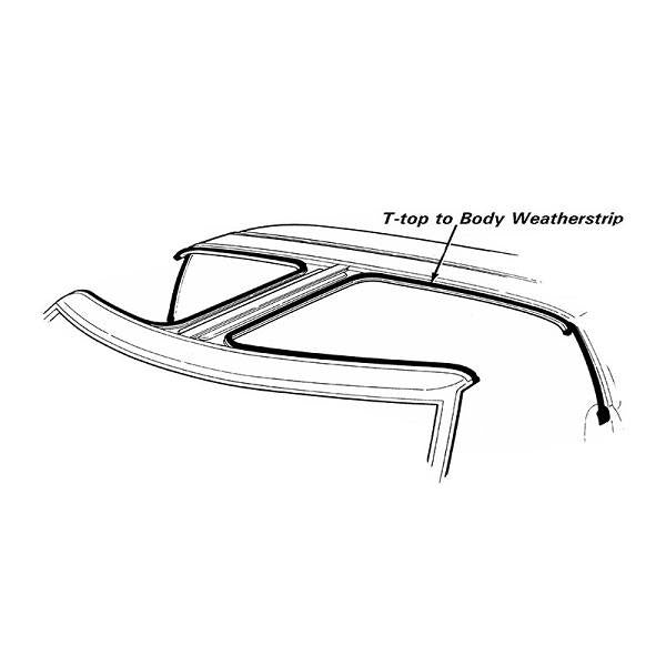 T-Top Roof Rail on Body Weatherstrips