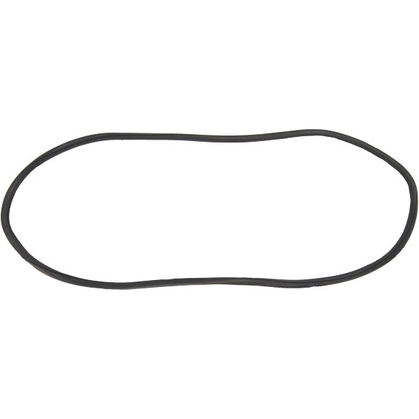 Windshield Gasket