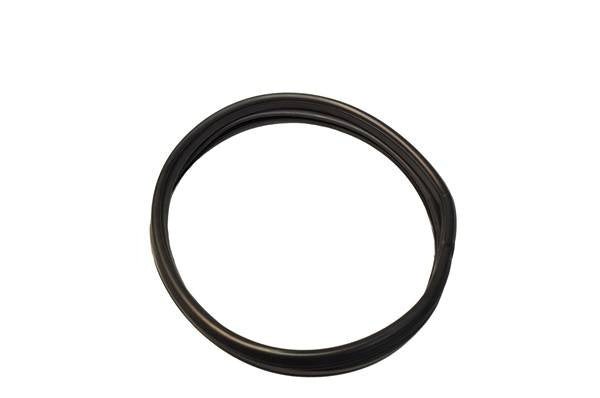 Quarter window weatherstrip