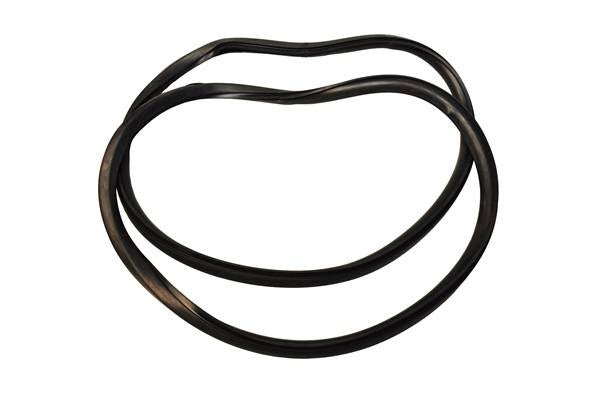 Quarter window weatherstrip