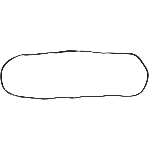 Swing-Out Windshield Weatherstrip