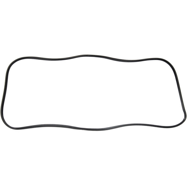 Windshield Gasket