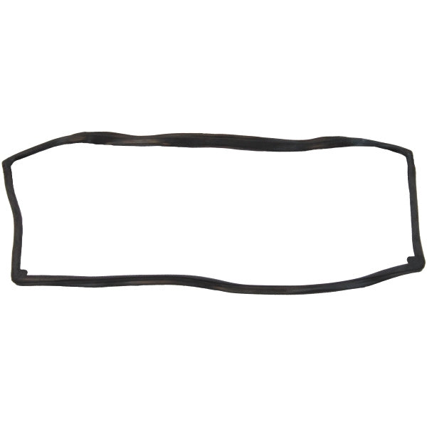 Windshield Gasket