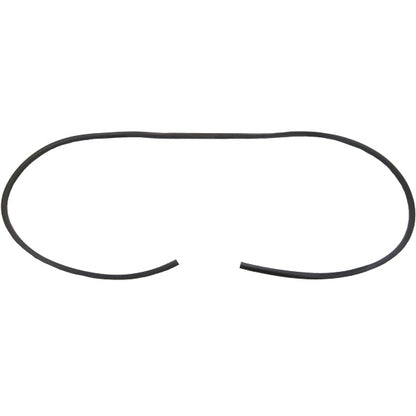 Rear Window Gasket