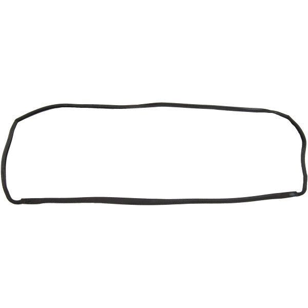 Rear Window Gasket