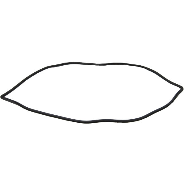 Windshield Gasket